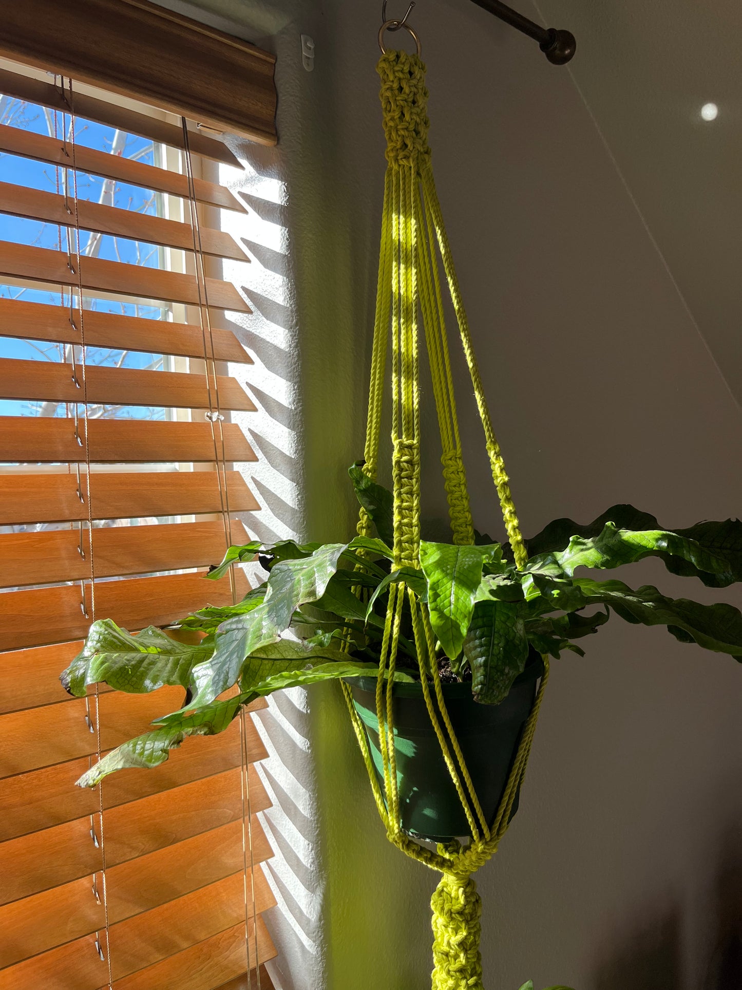 Electric Chartreuse Double Plant Hanger