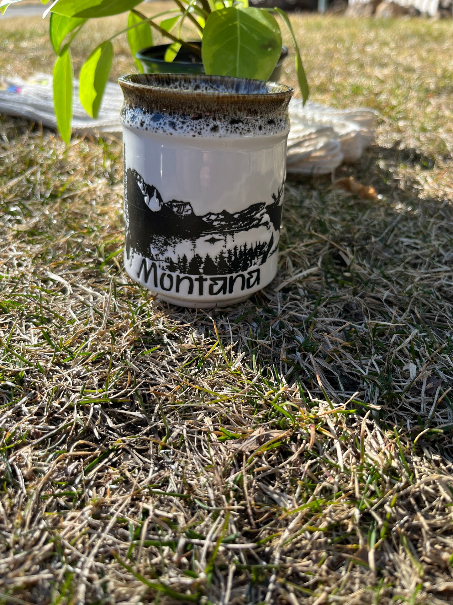 Montana Mug