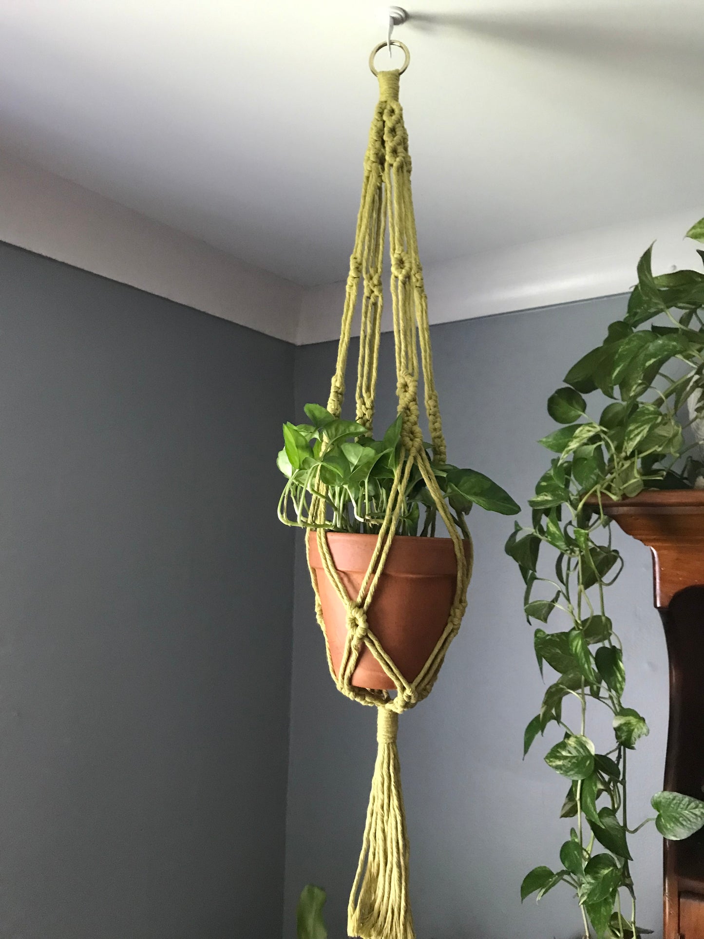 Triple Diamond Plant Hanger