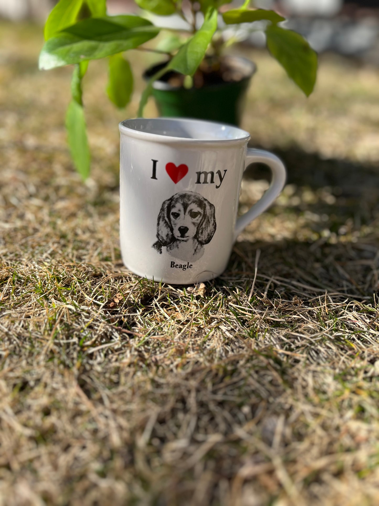 I heart my beagle mug