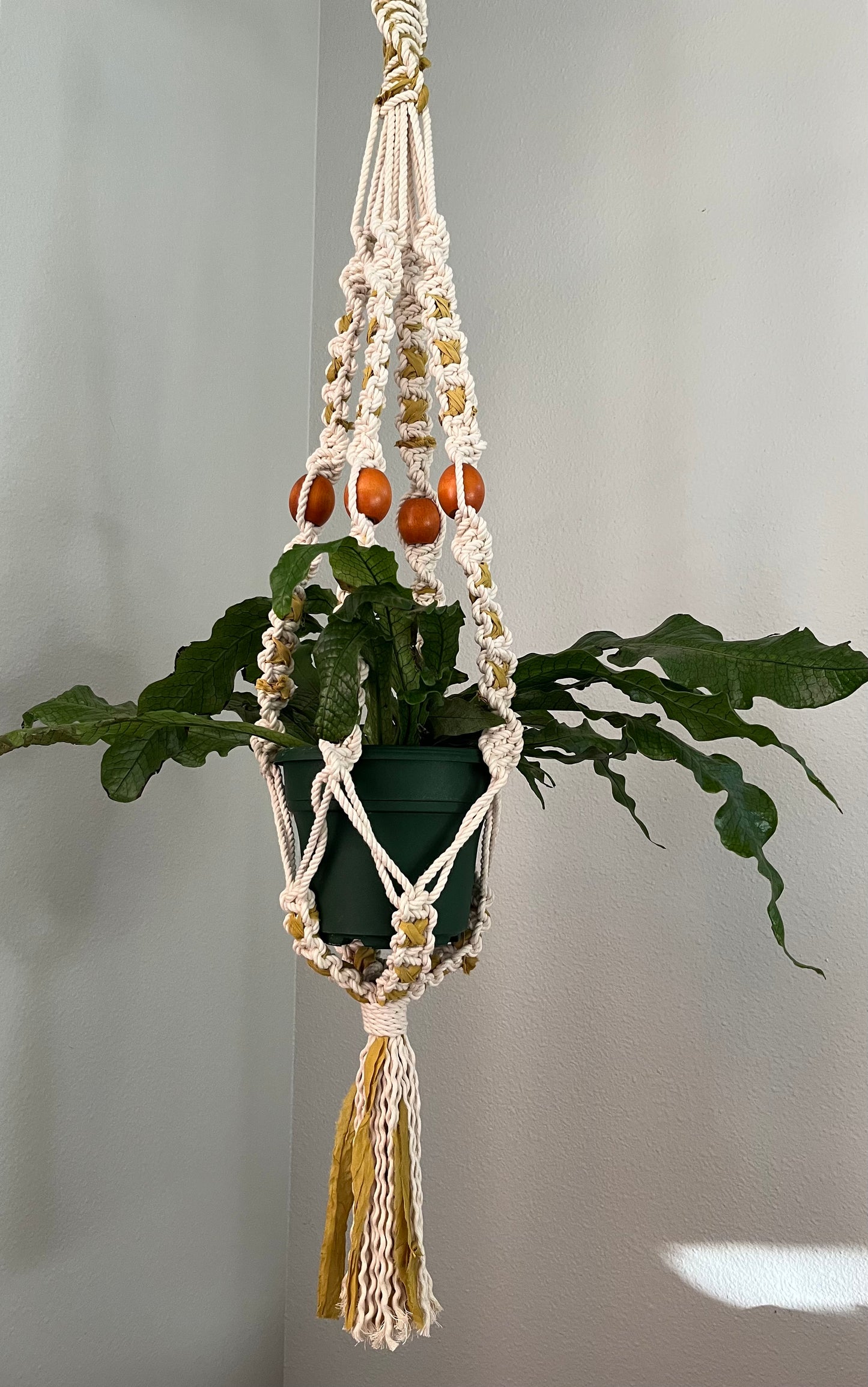 Crisscross Plant Hanger