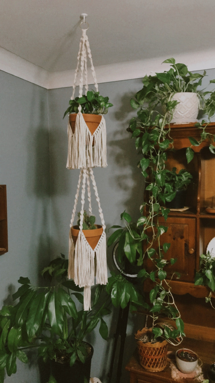 Double Trouble Plant Hanger