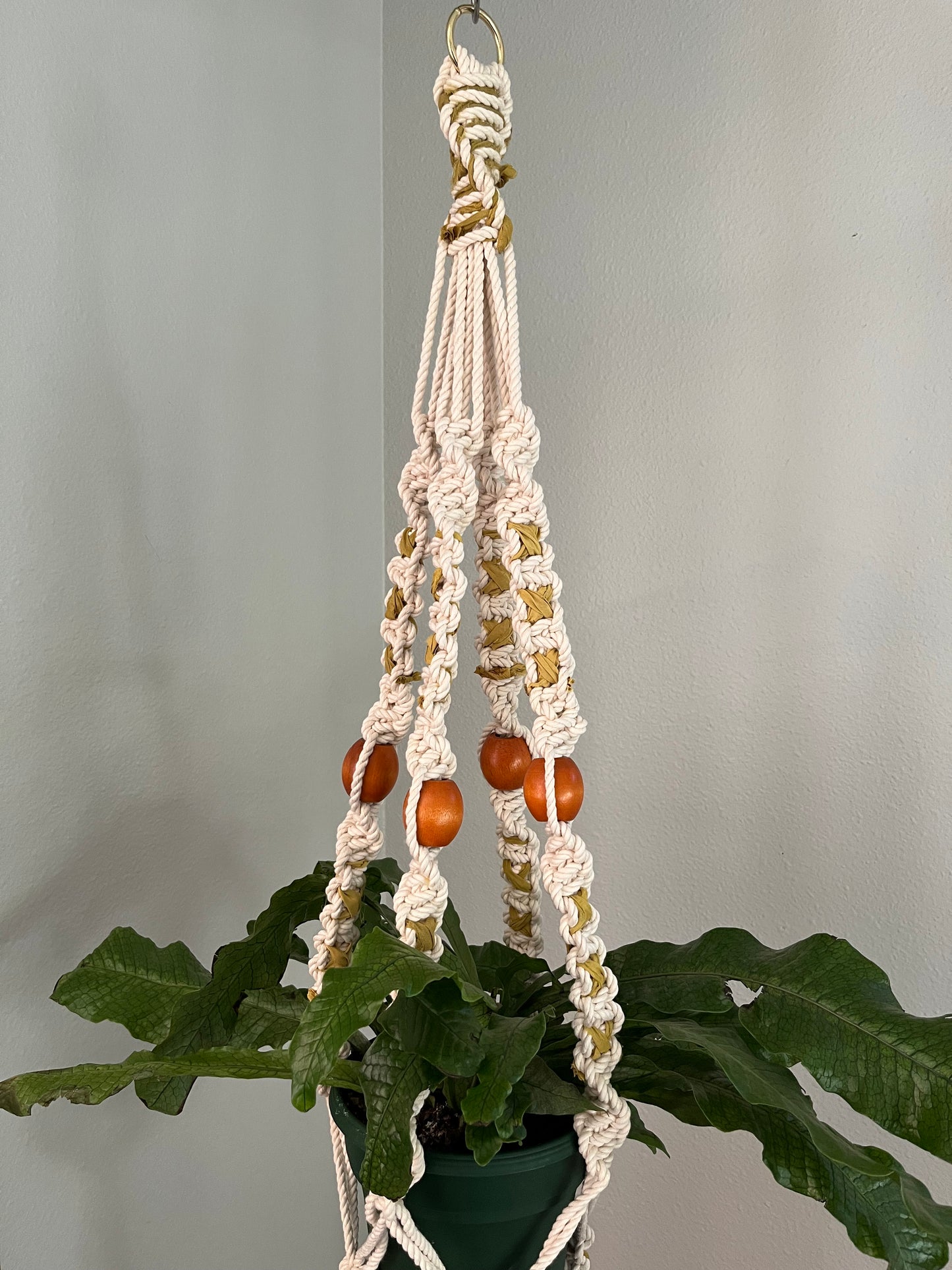 Crisscross Plant Hanger