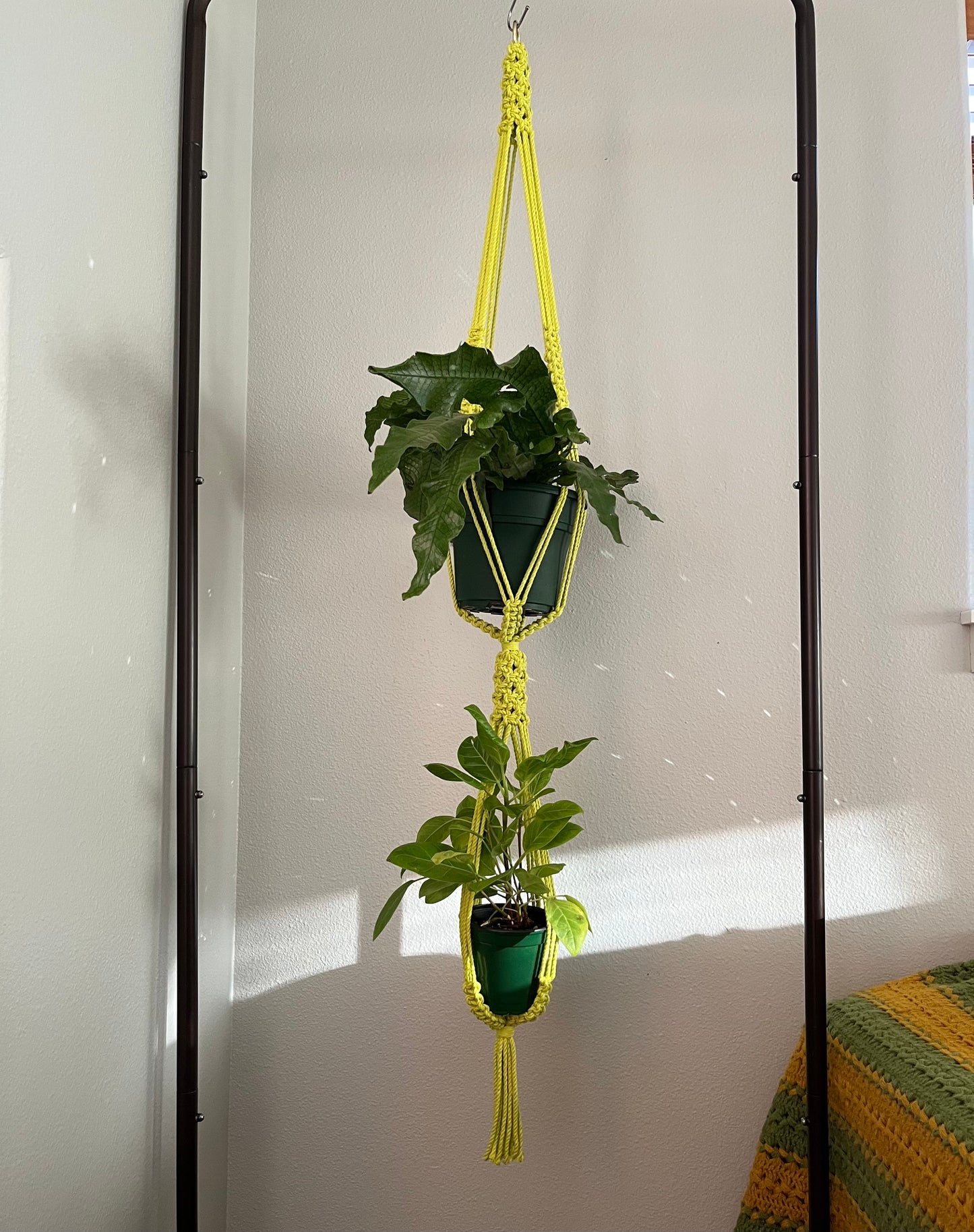 Electric Chartreuse Double Plant Hanger