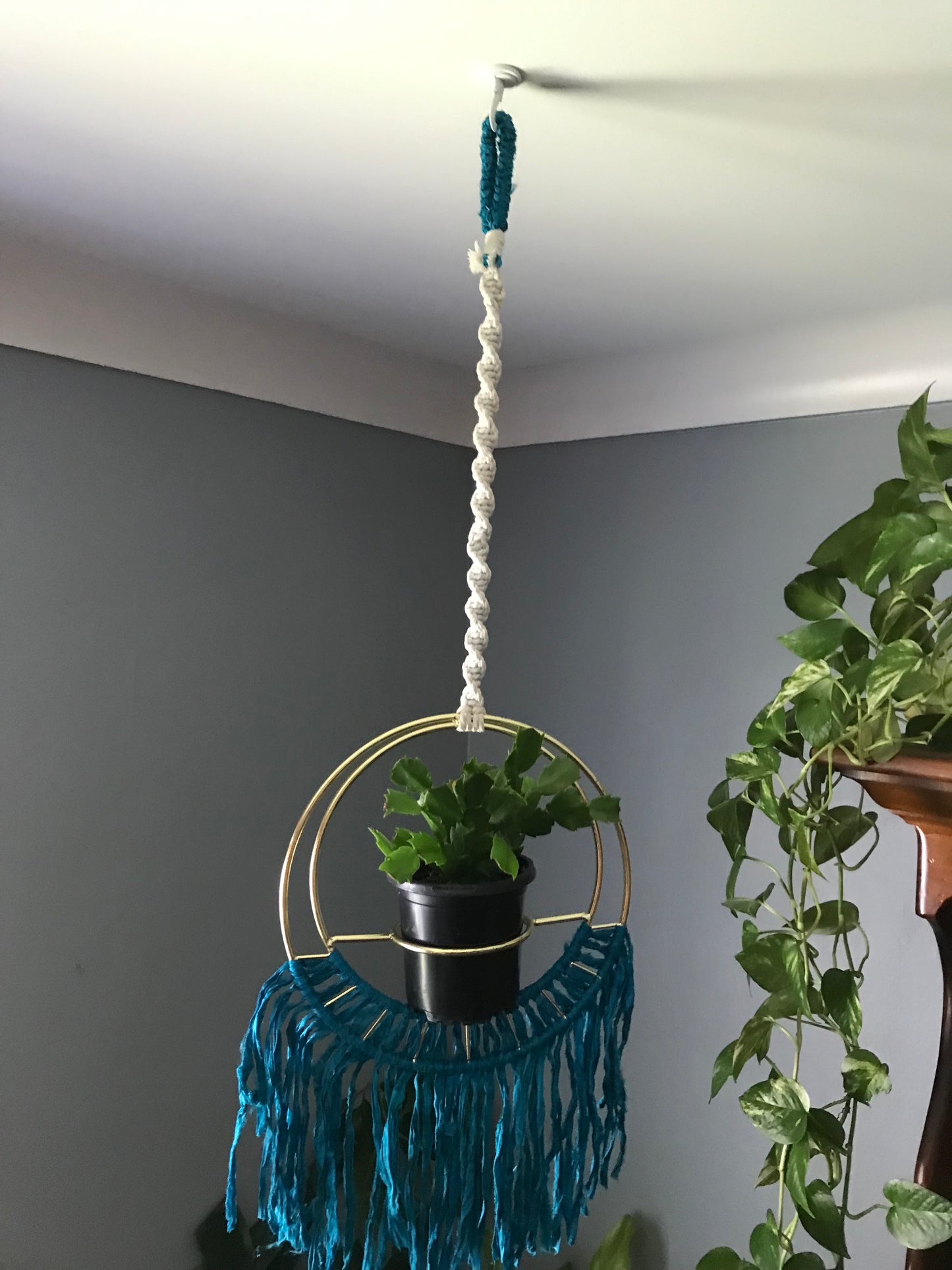 Gold & Teal Plant Hanger