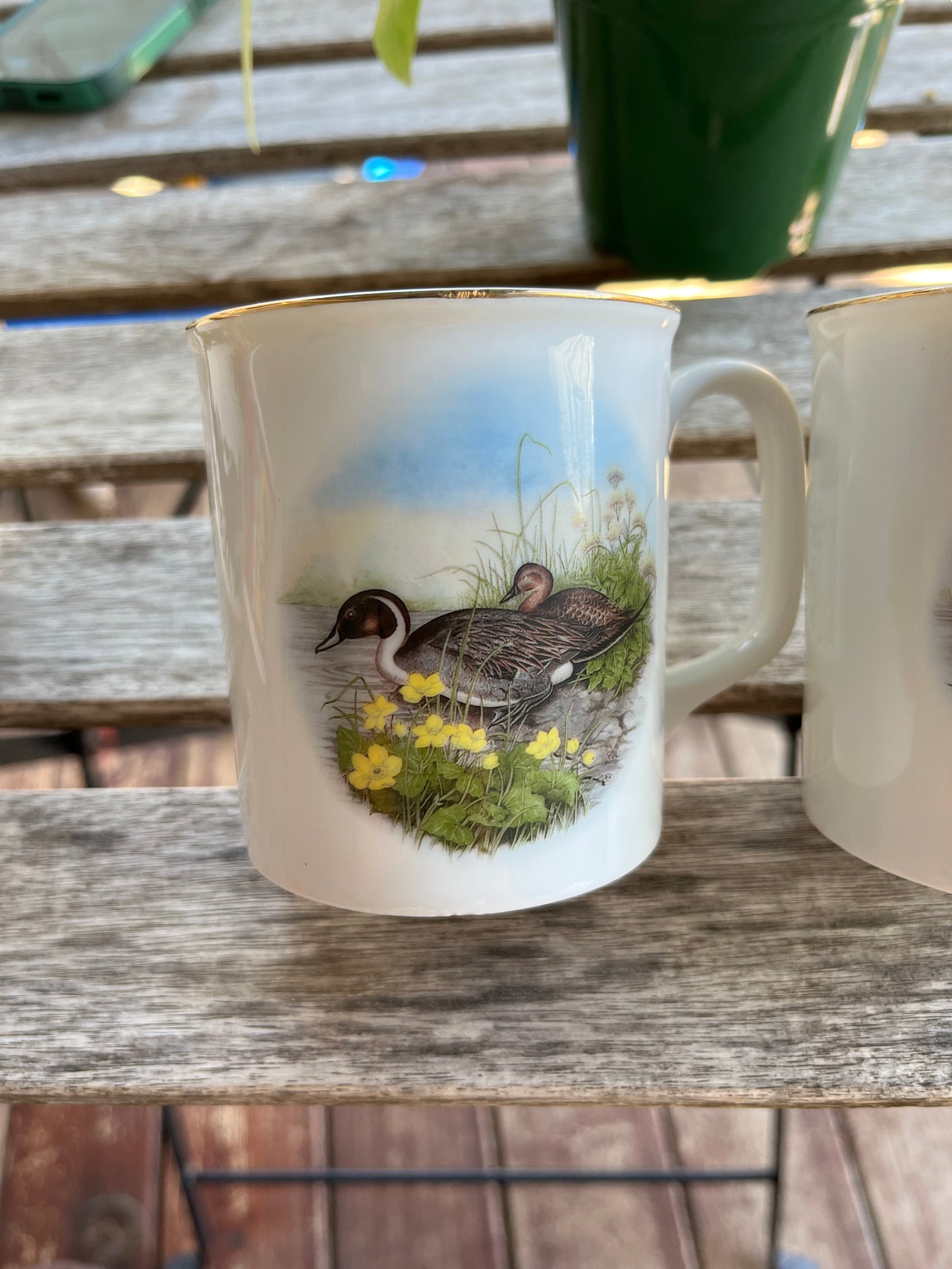 Duck Mugs (Set of 2)