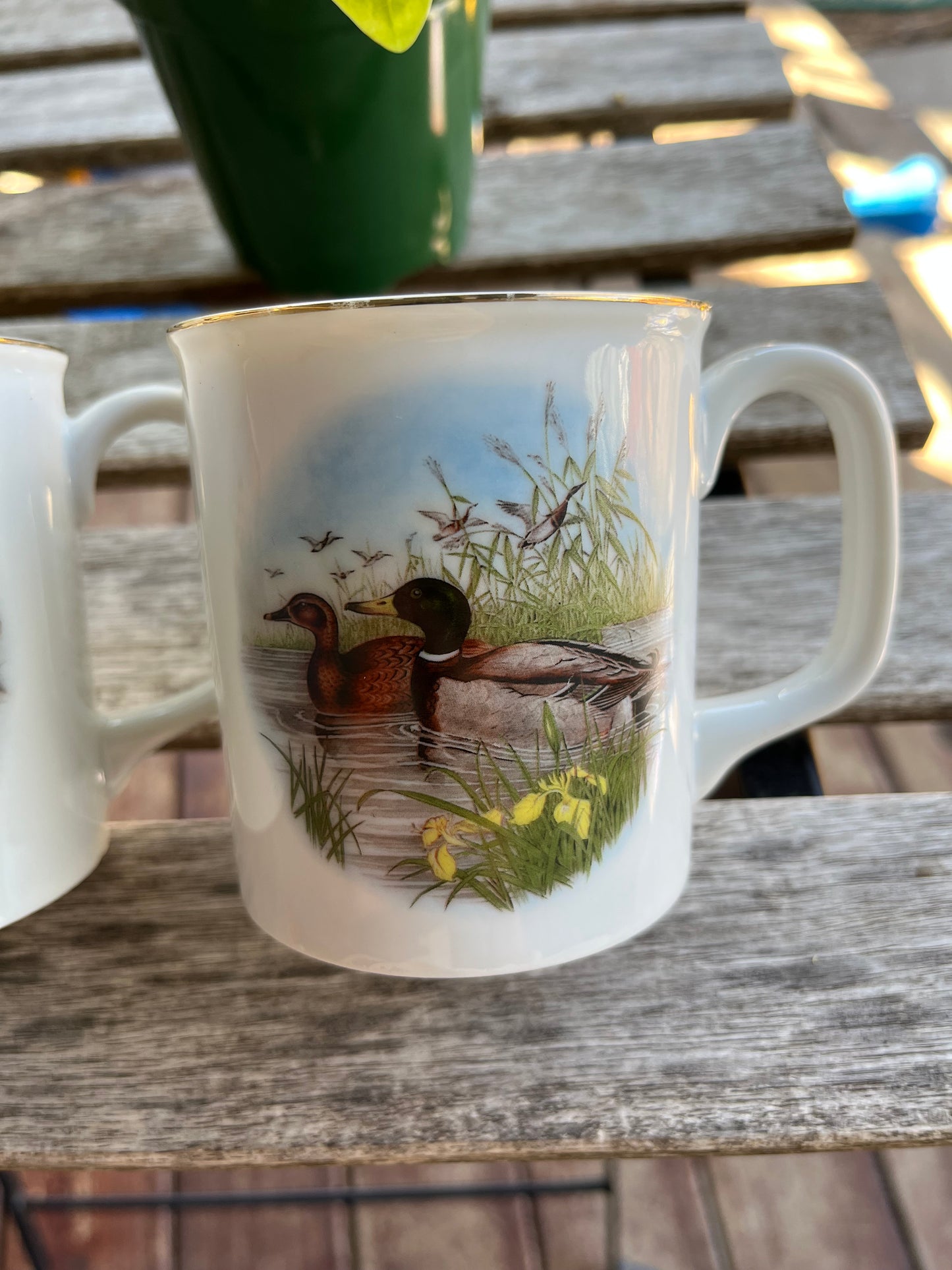 Duck Mugs (Set of 2)