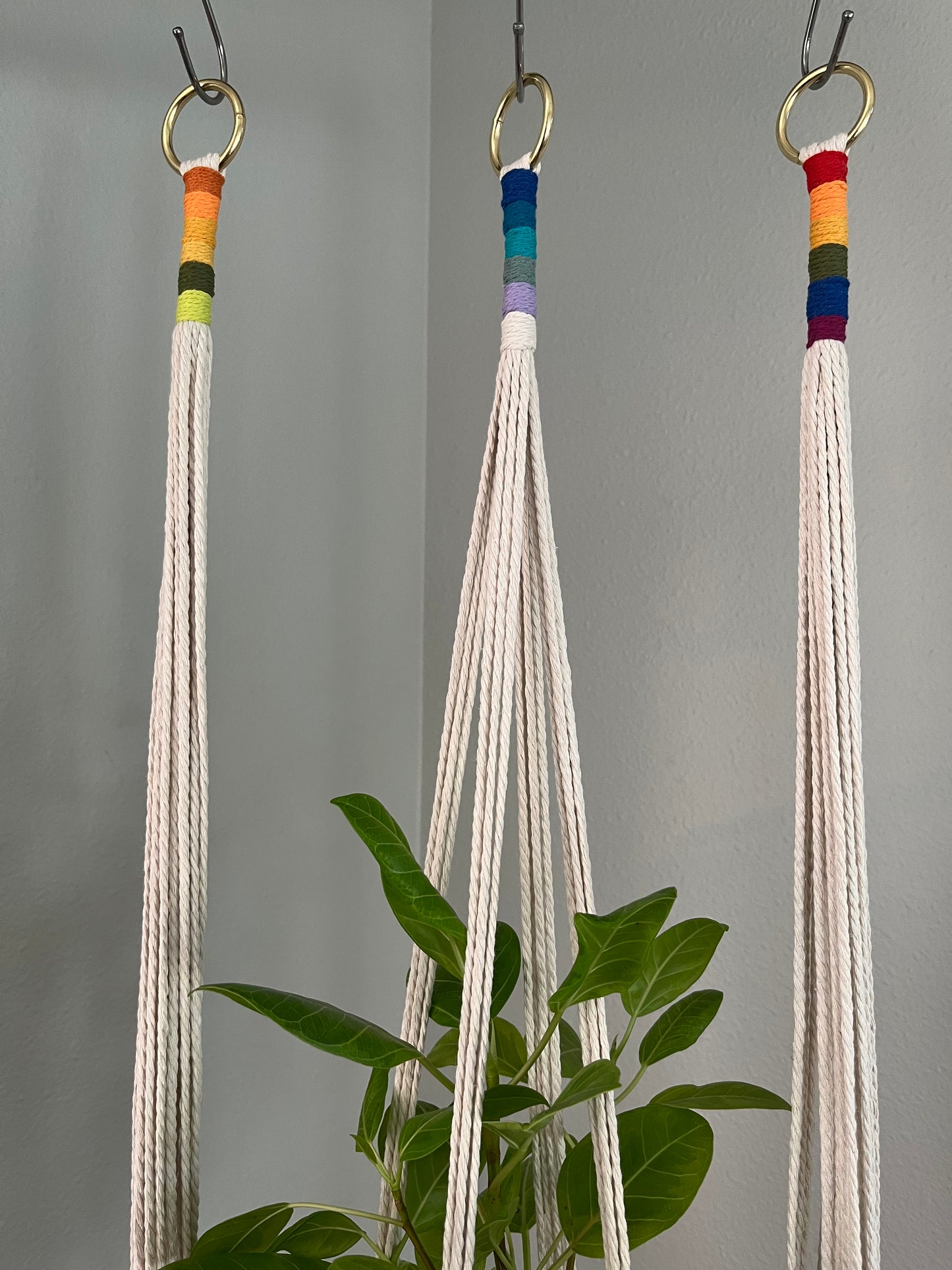 Color block Minimalist Plant Hanger