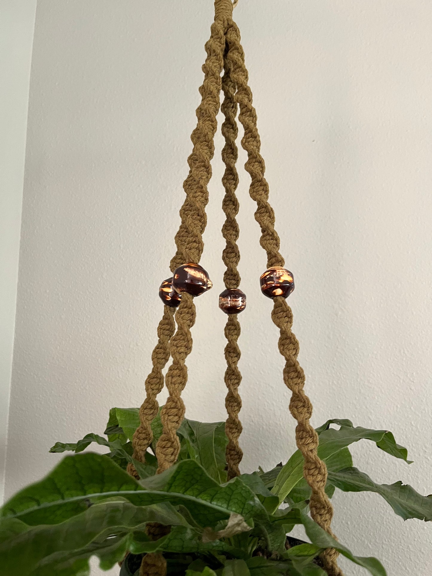 Mossy Spiral Plant Hanger