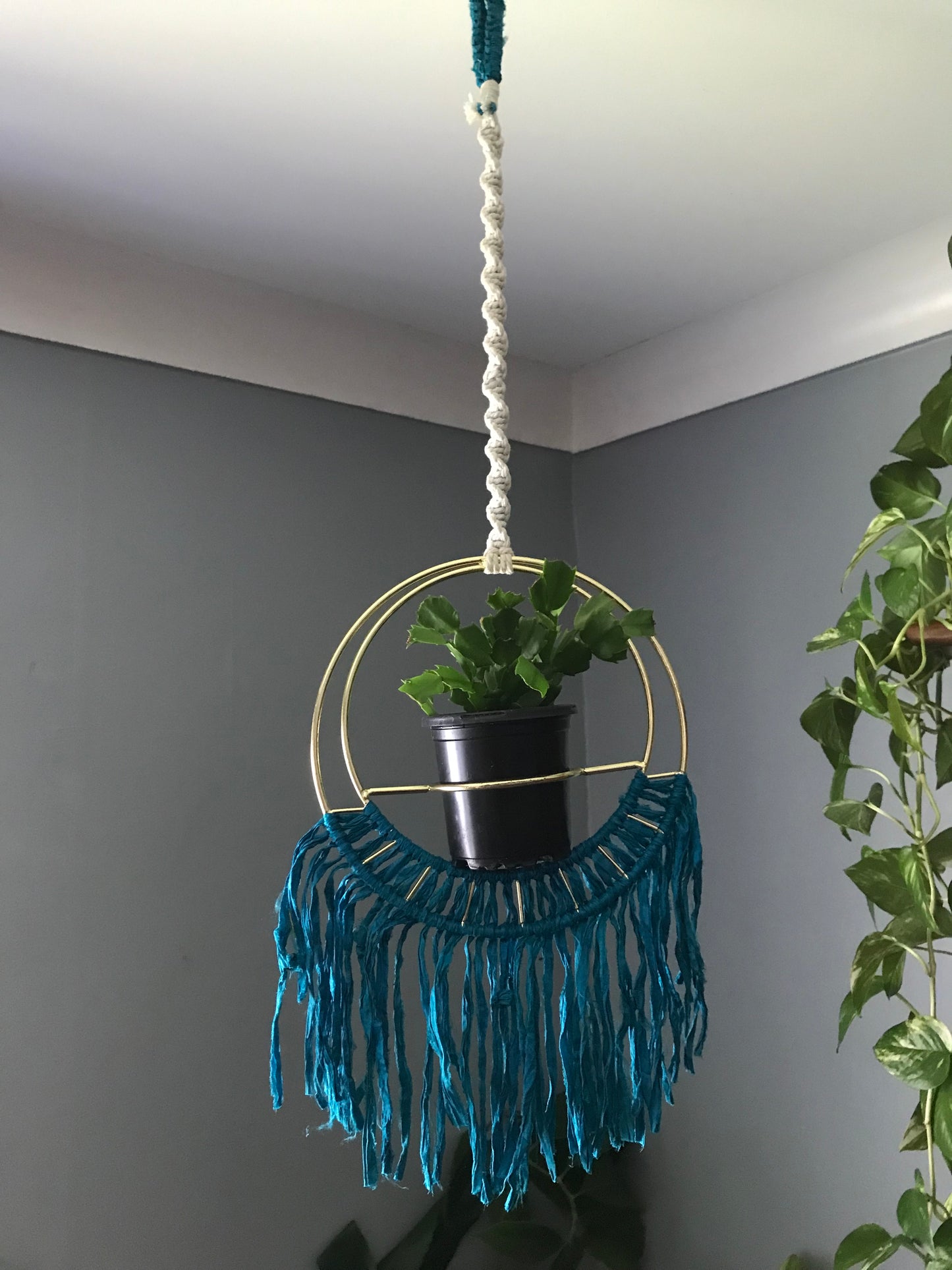 Gold & Teal Plant Hanger