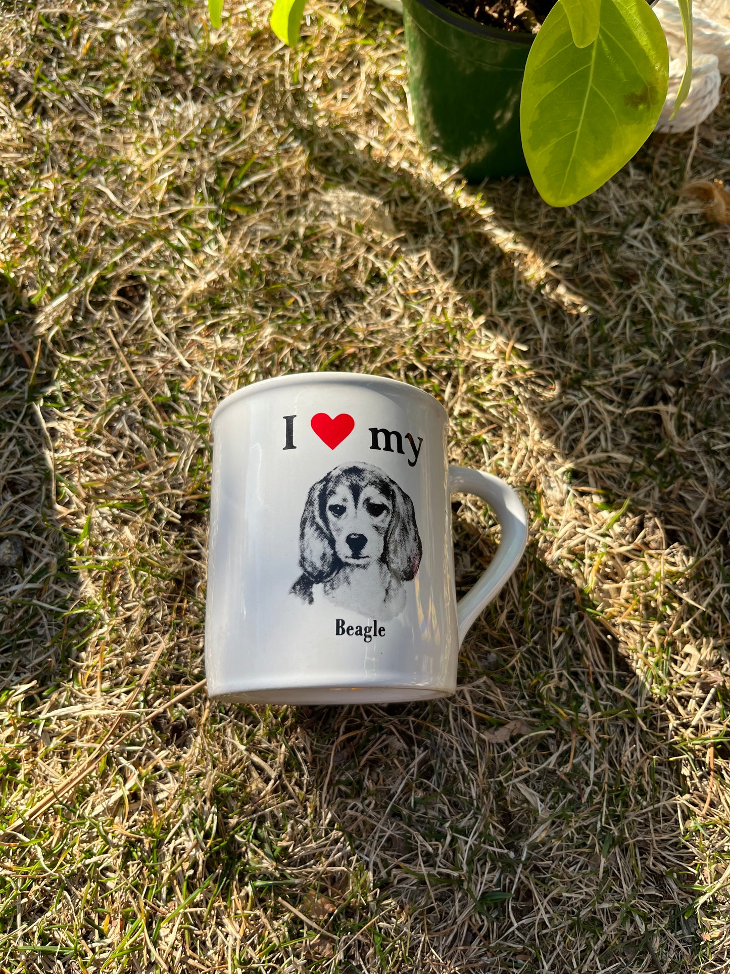 I heart my beagle mug