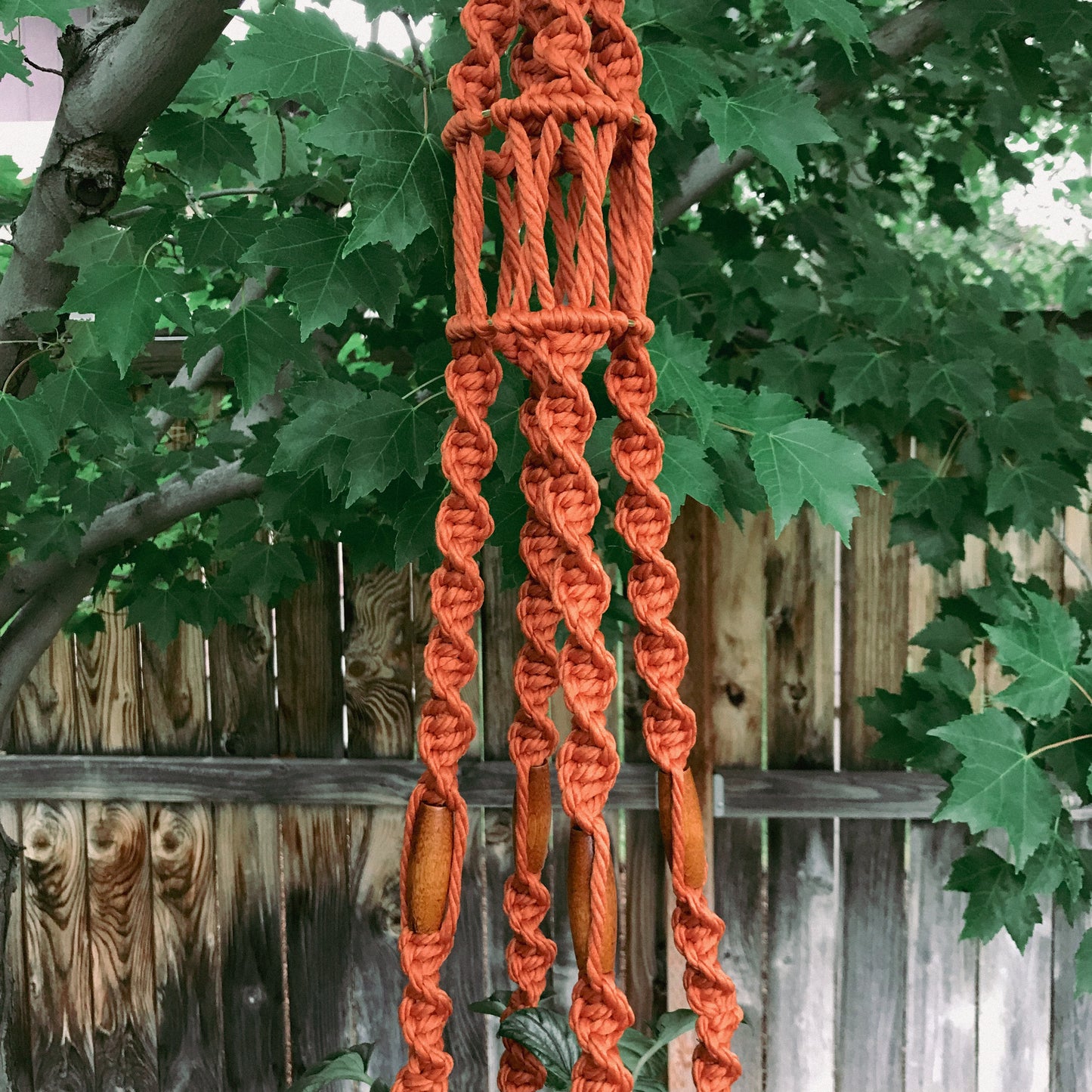 Nothing Rhymes with Orange Plant Hanger