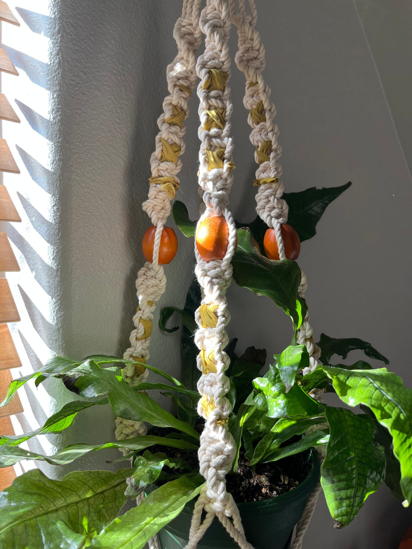 Crisscross Plant Hanger