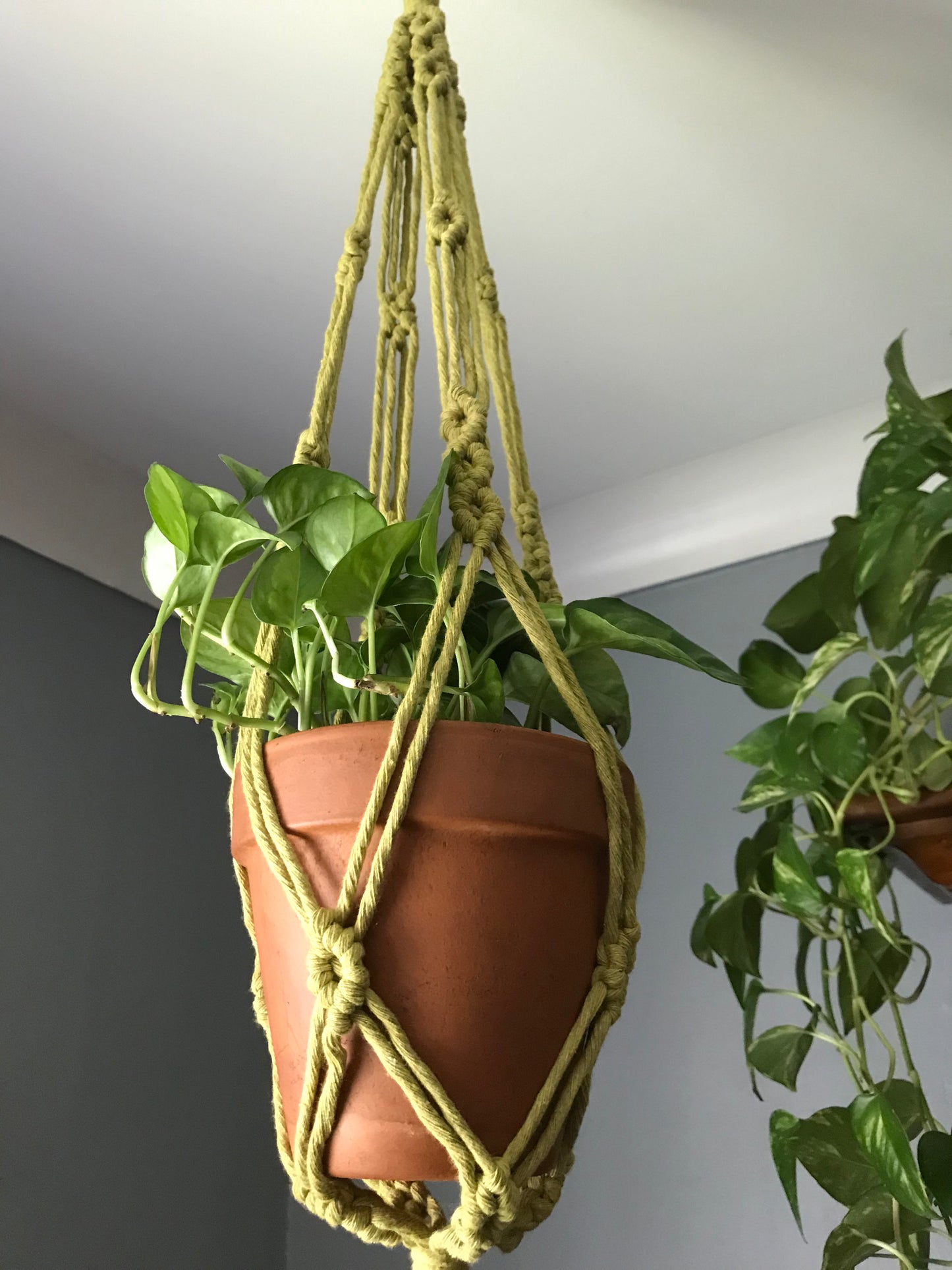 Triple Diamond Plant Hanger