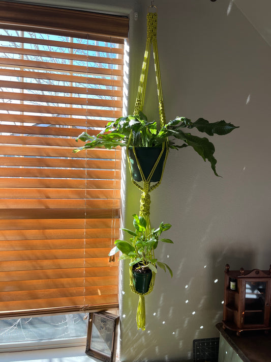 Electric Chartreuse Double Plant Hanger