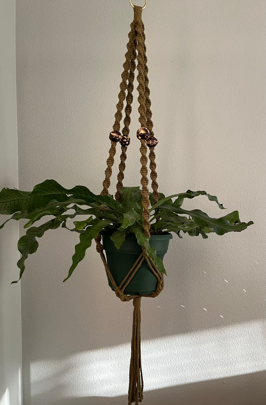 Mossy Spiral Plant Hanger