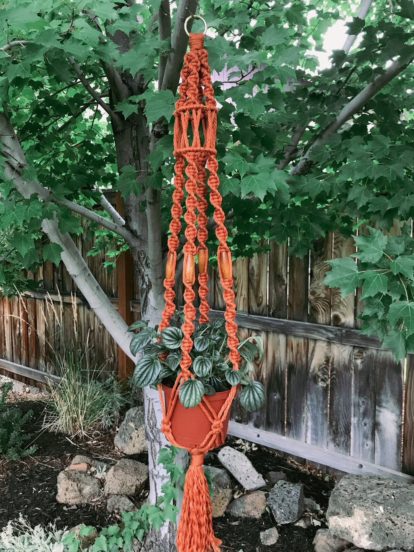 Nothing Rhymes with Orange Plant Hanger