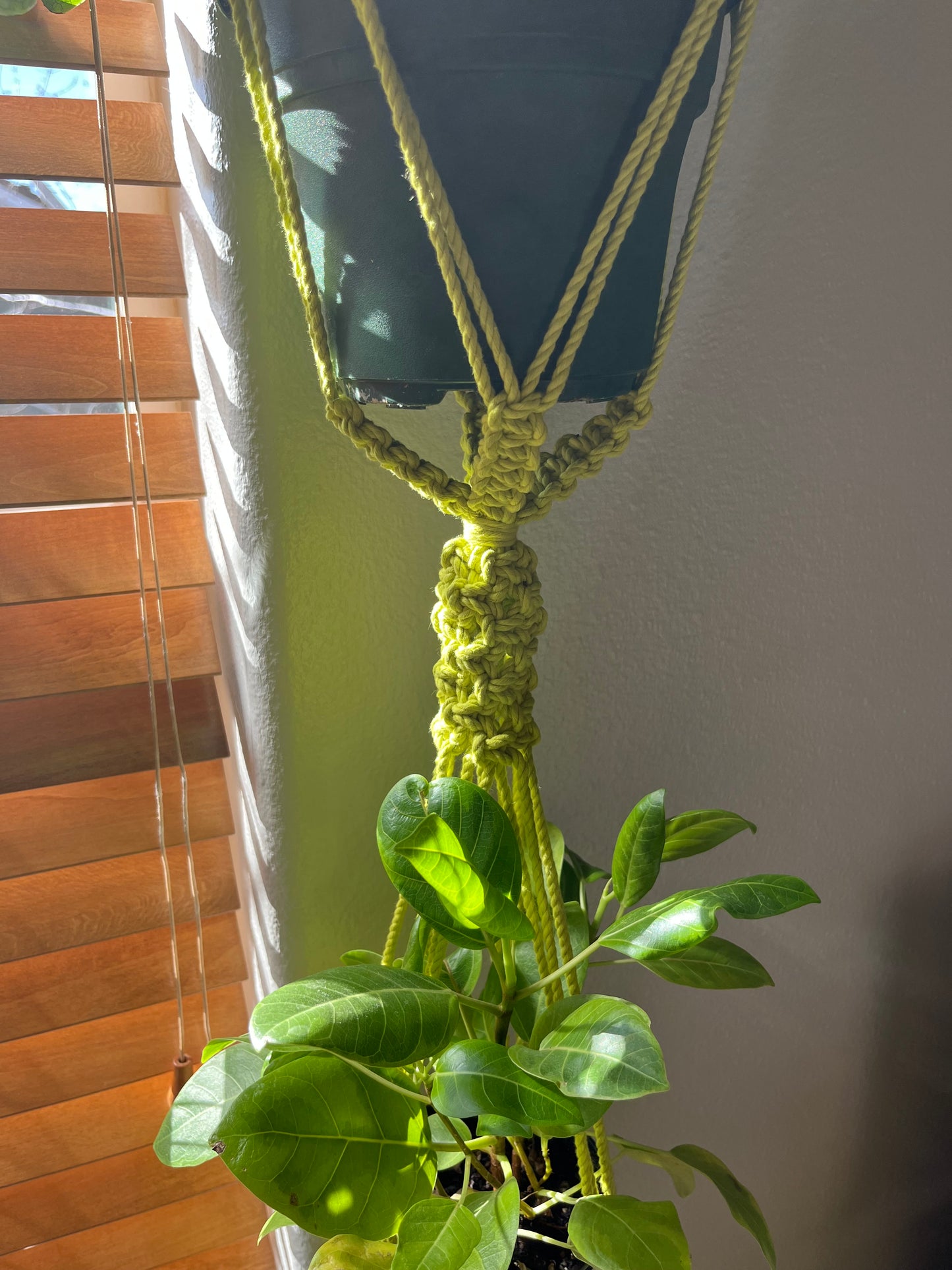 Electric Chartreuse Double Plant Hanger