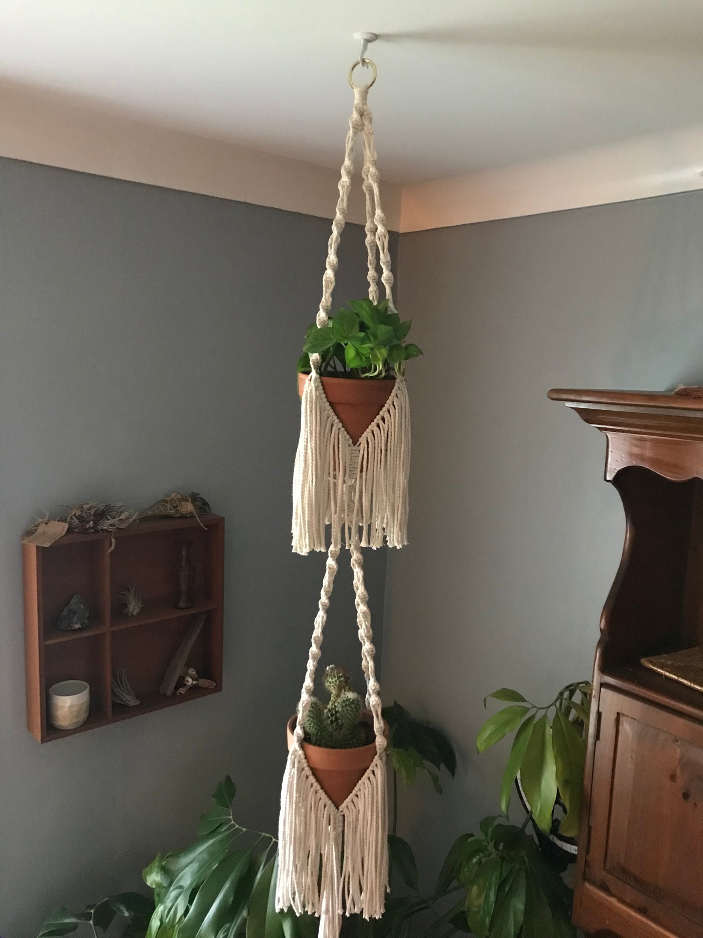 Double Trouble Plant Hanger