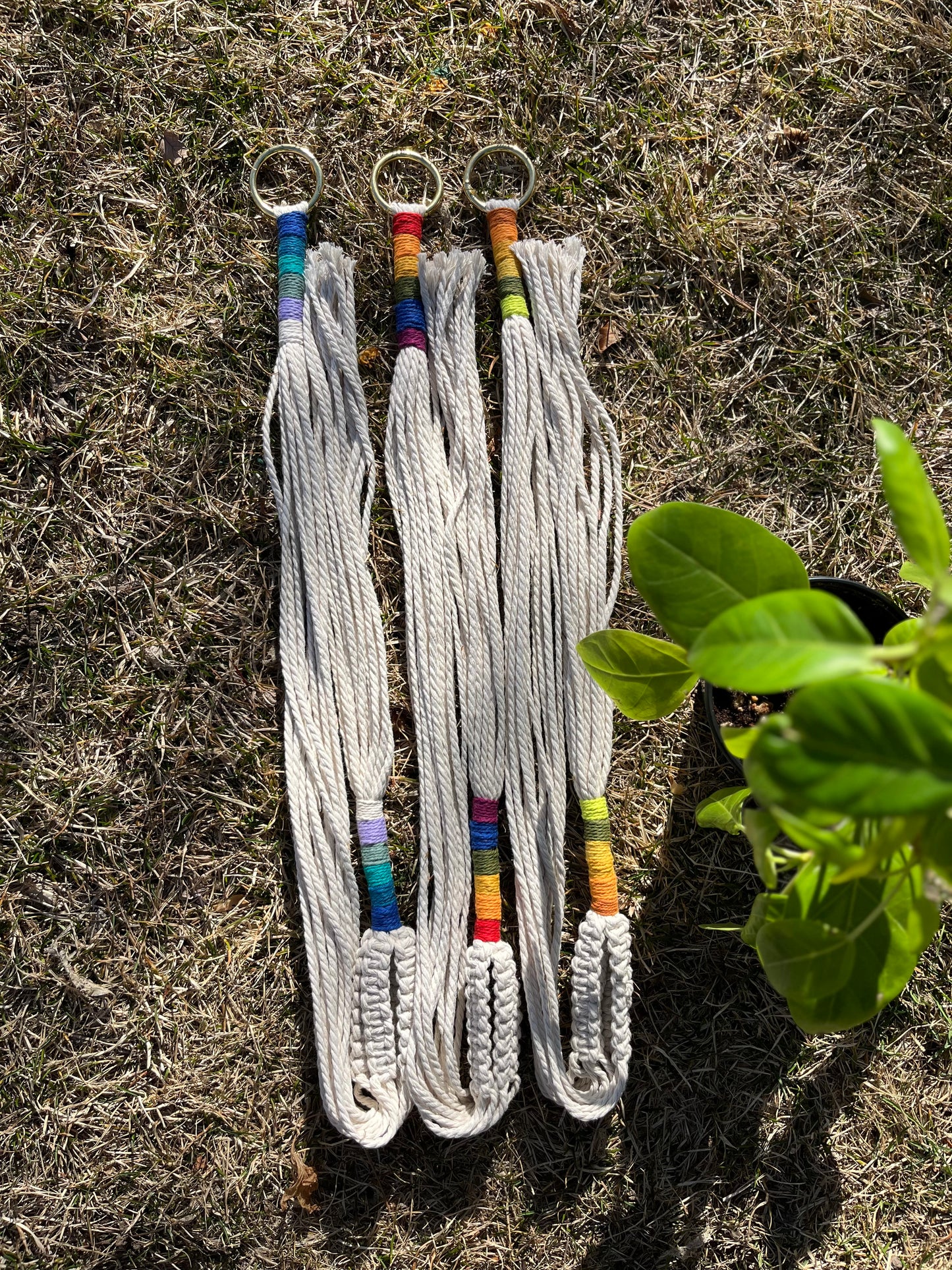 Color block Minimalist Plant Hanger