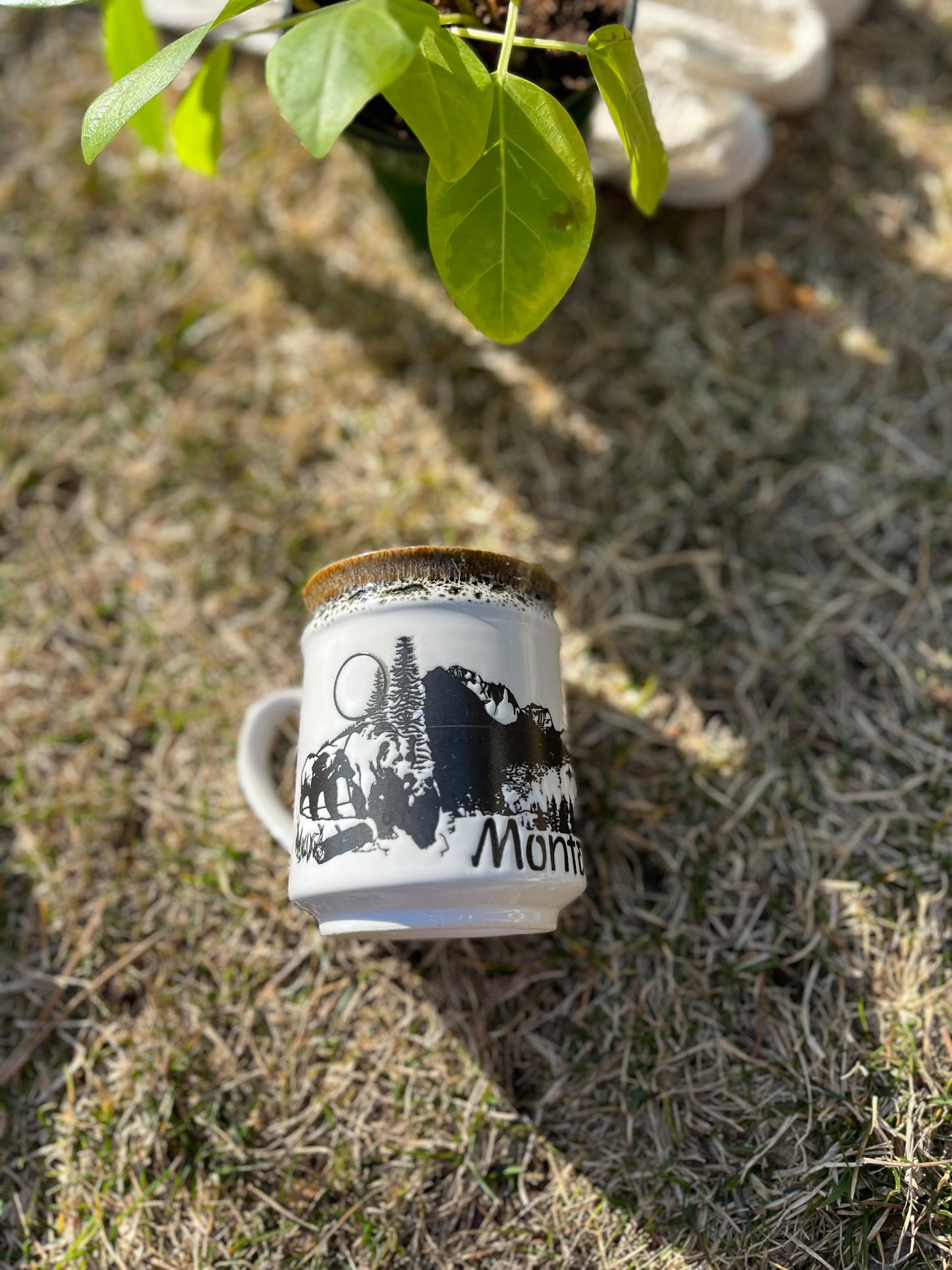 Montana Mug