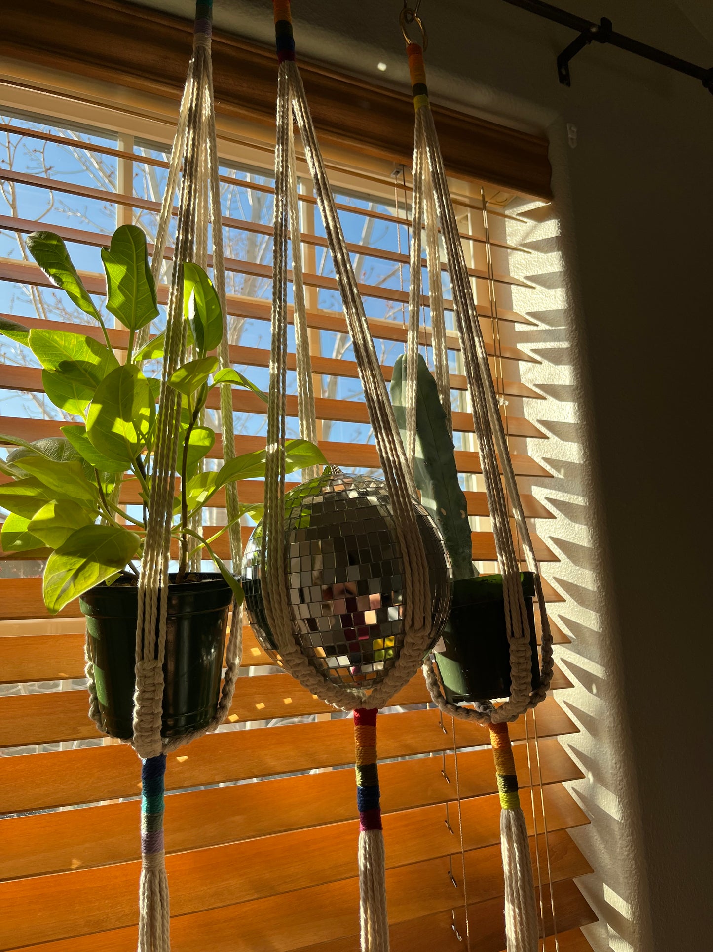 Color block Minimalist Plant Hanger