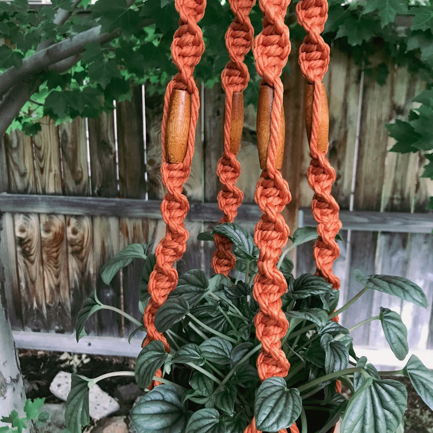 Nothing Rhymes with Orange Plant Hanger