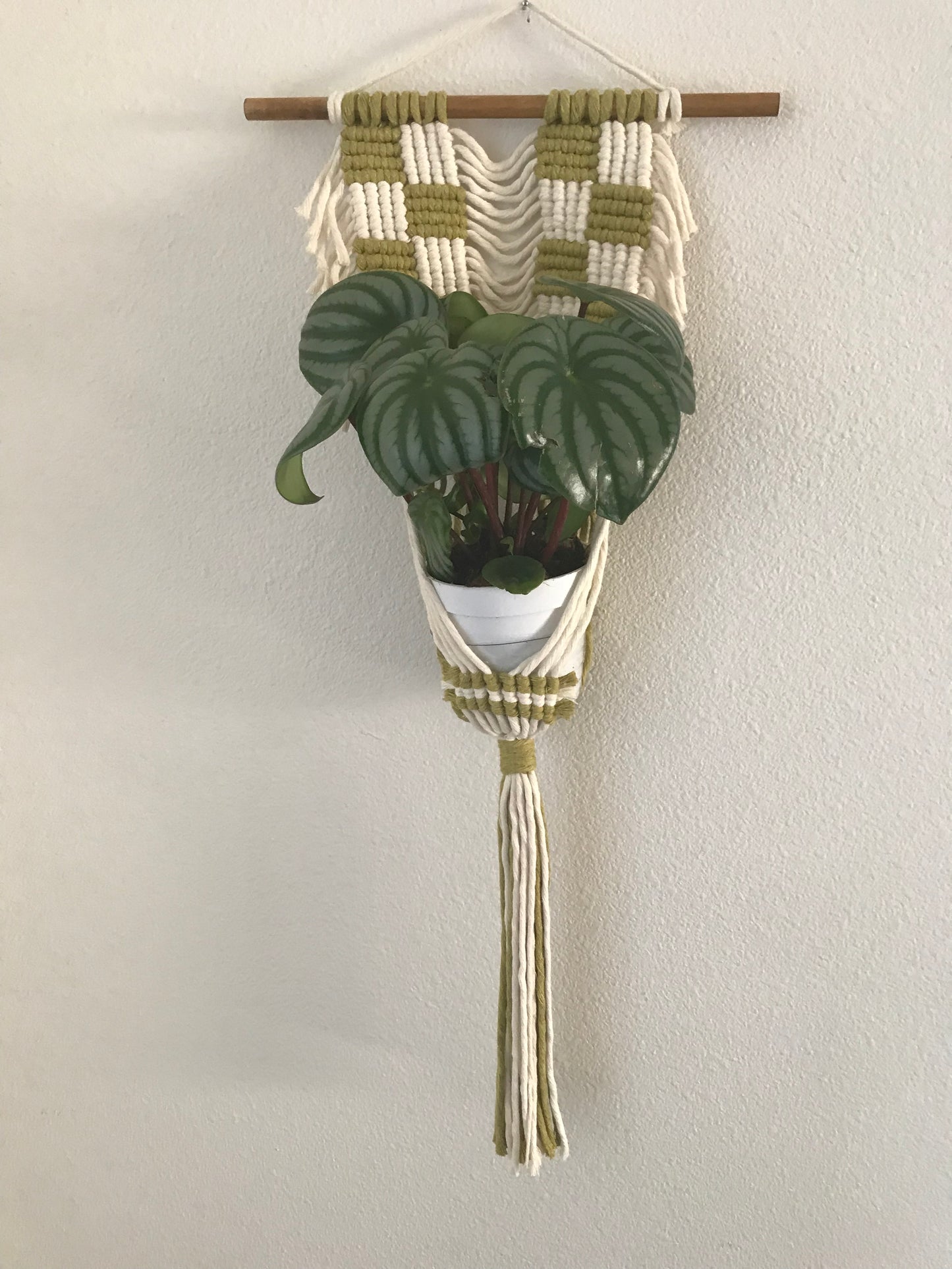 Checkered Wave Plant Hanger