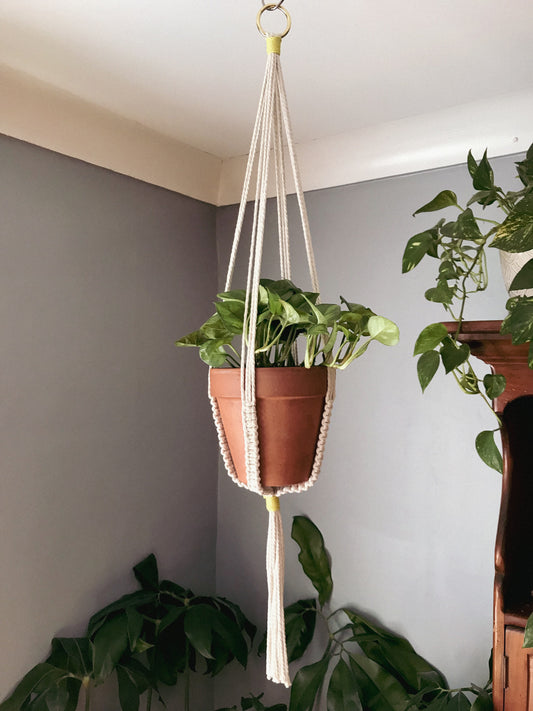 Minimalist Plant Hanger