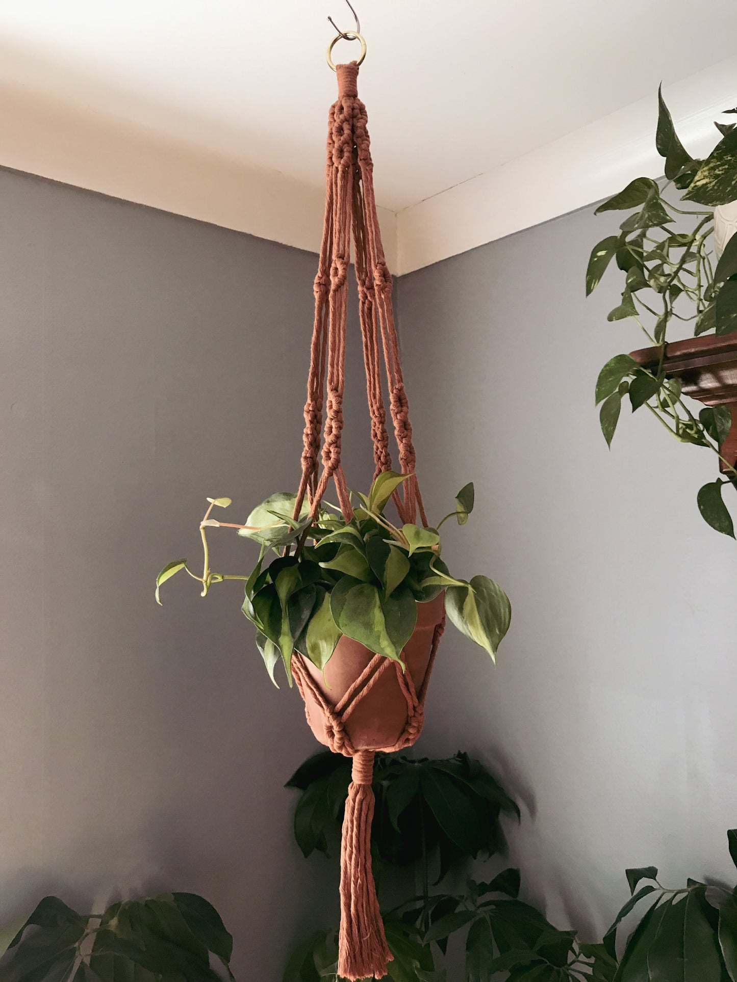 Triple Diamond Plant Hanger