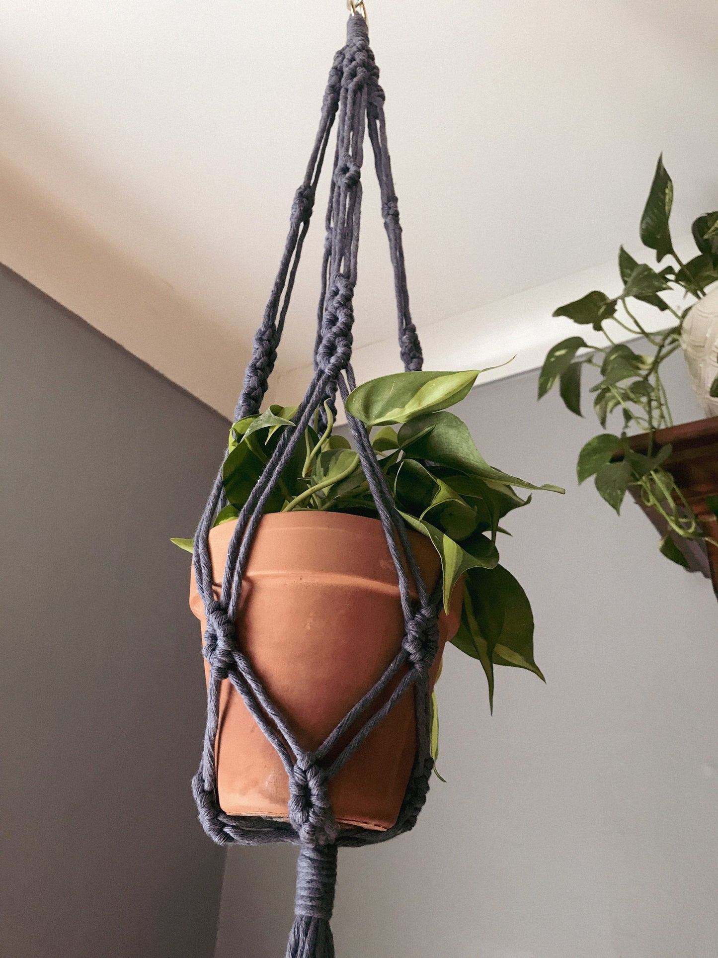 Triple Diamond Plant Hanger